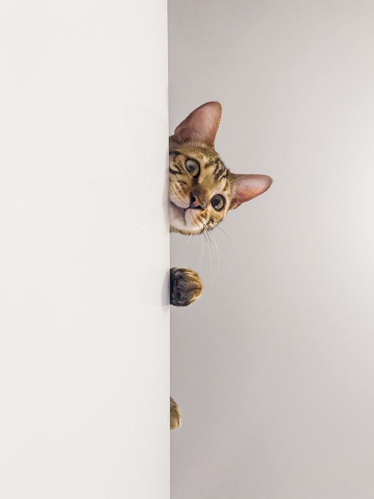 Photograph by Юлия Егорова