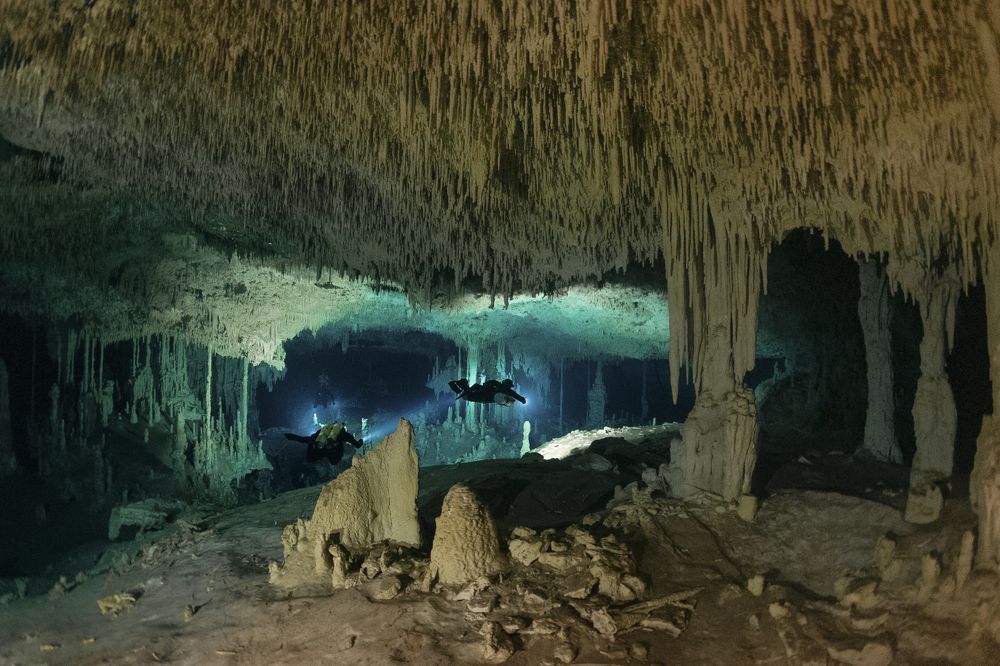 Фотография автора Rolando di lauro