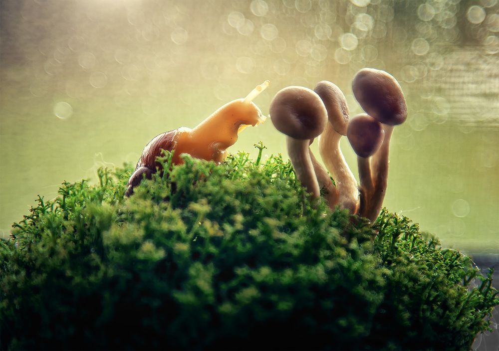 Photograph by Алина Аристова