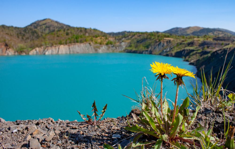 Photograph by ЕЛЕНА