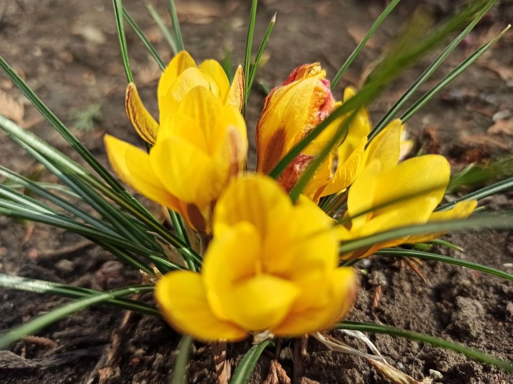 Photograph by Лена Силайчева