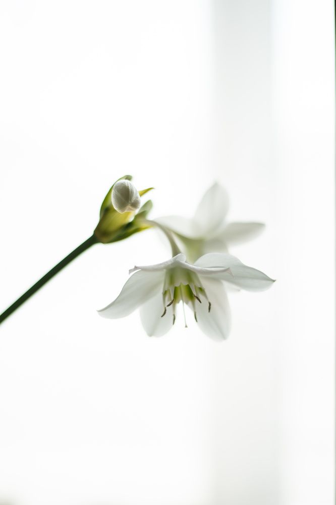 Photograph by Кадырова Анастасия