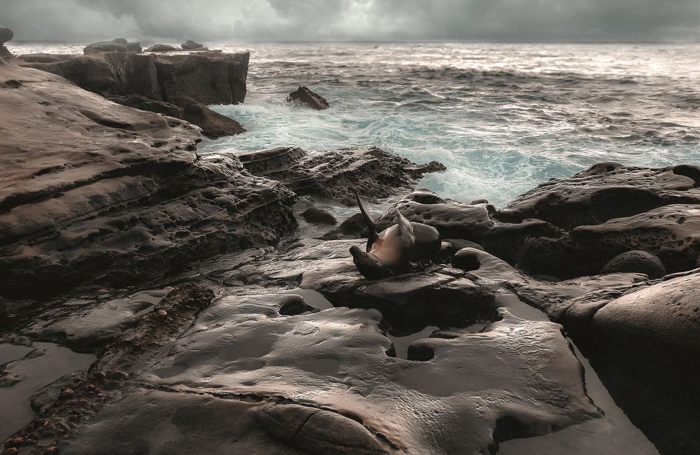 Photograph by Александр Волков