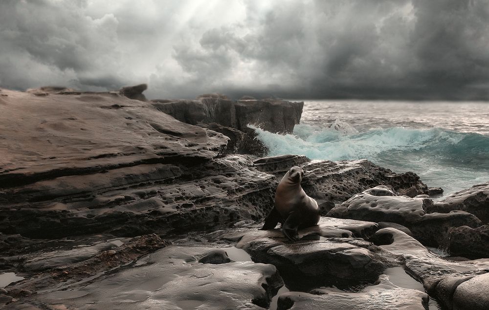 Photograph by Александр Волков