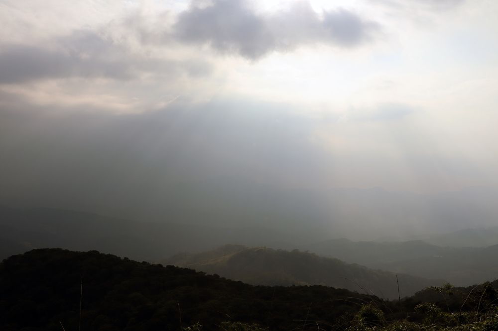 Photograph by Harsha