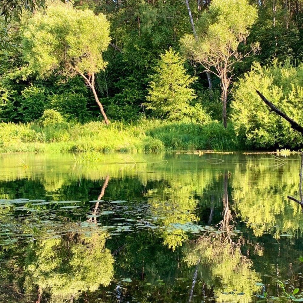 Photograph by Анна Ремизова