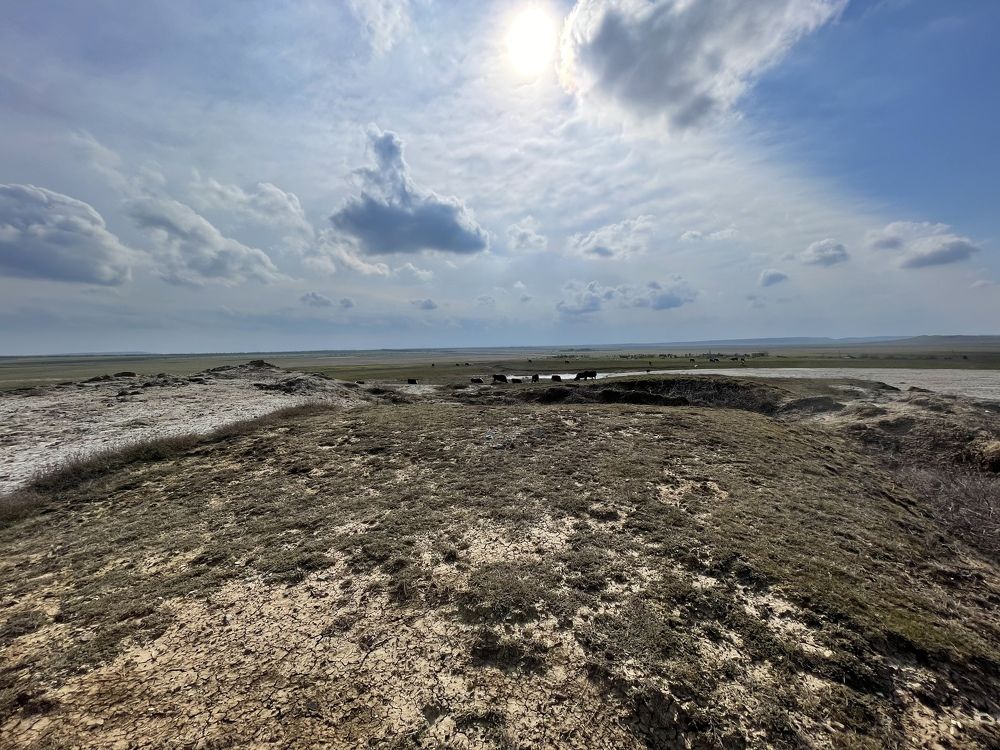 Photograph by Наталья Козлова