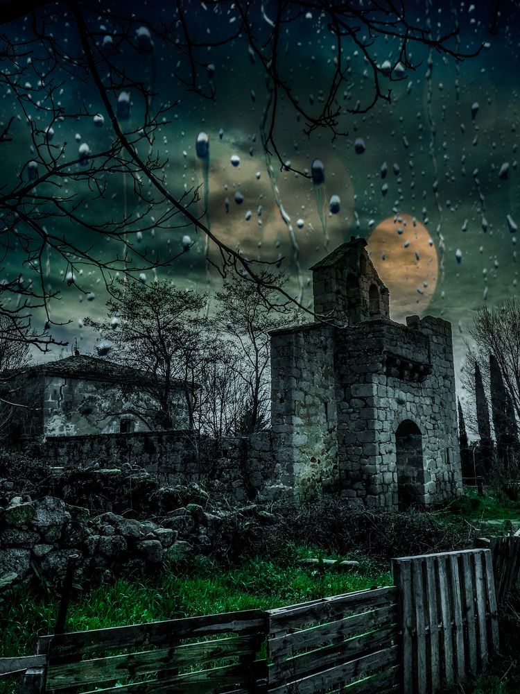 Photograph by Tamara Gómez González