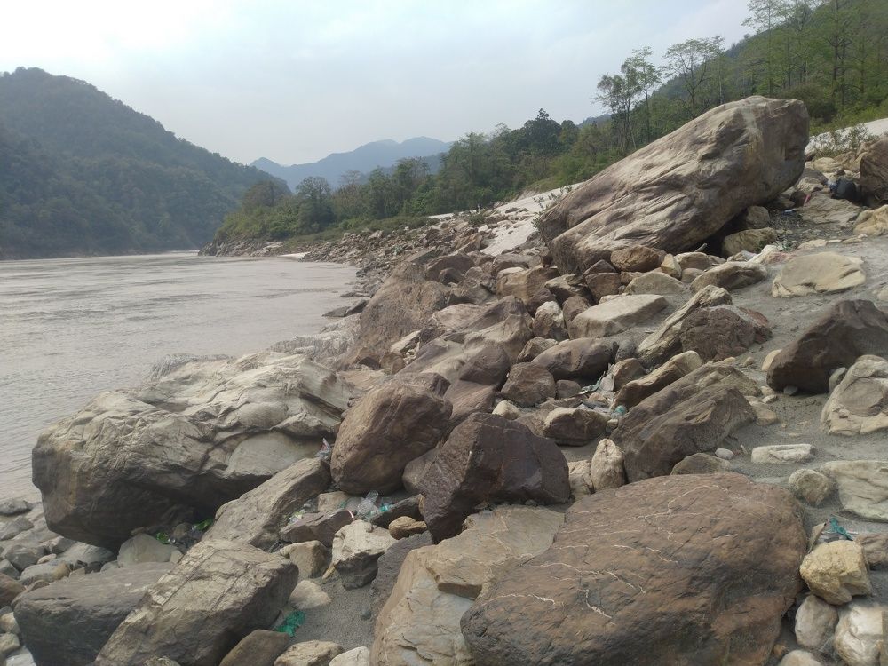 Photo #6010195