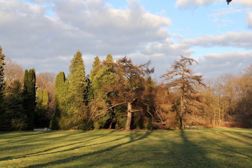 Skaryszewski Park. Warszawa