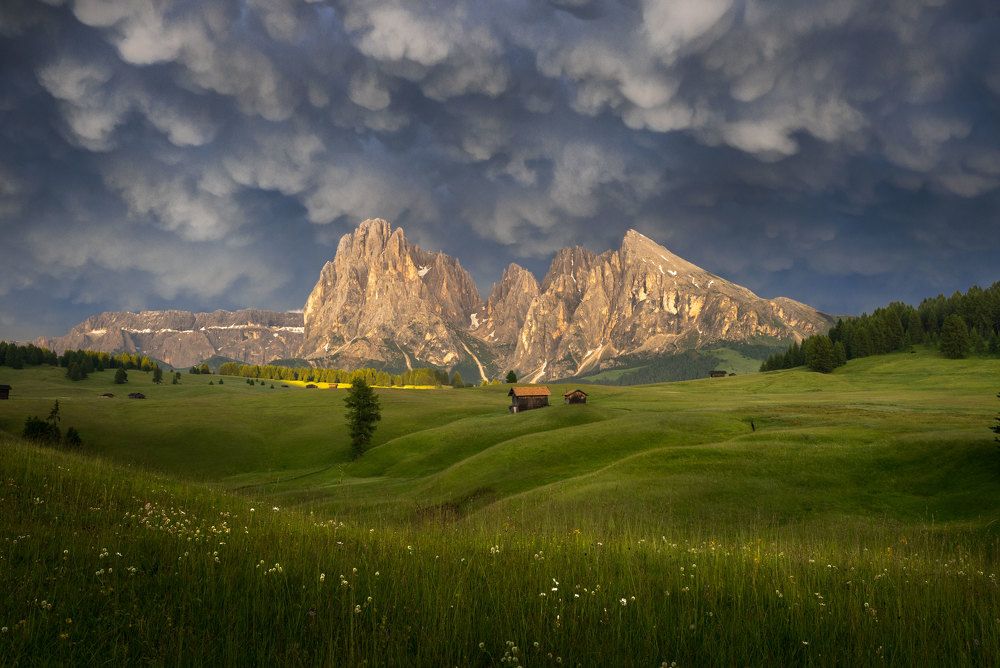 Photograph by Stefano Gelli