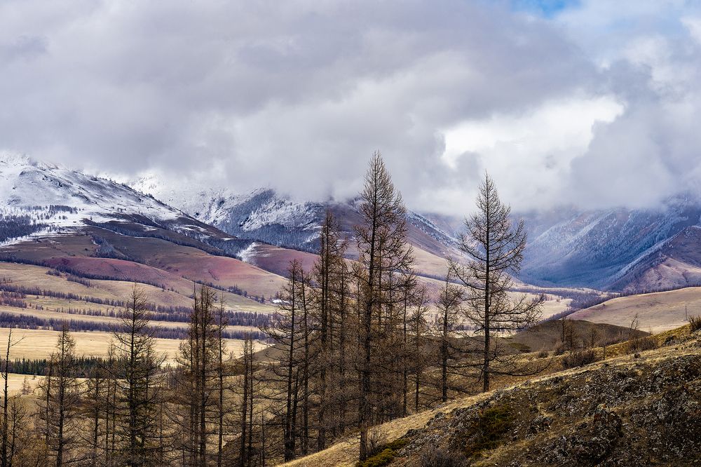 Photograph by Константин Щербаков