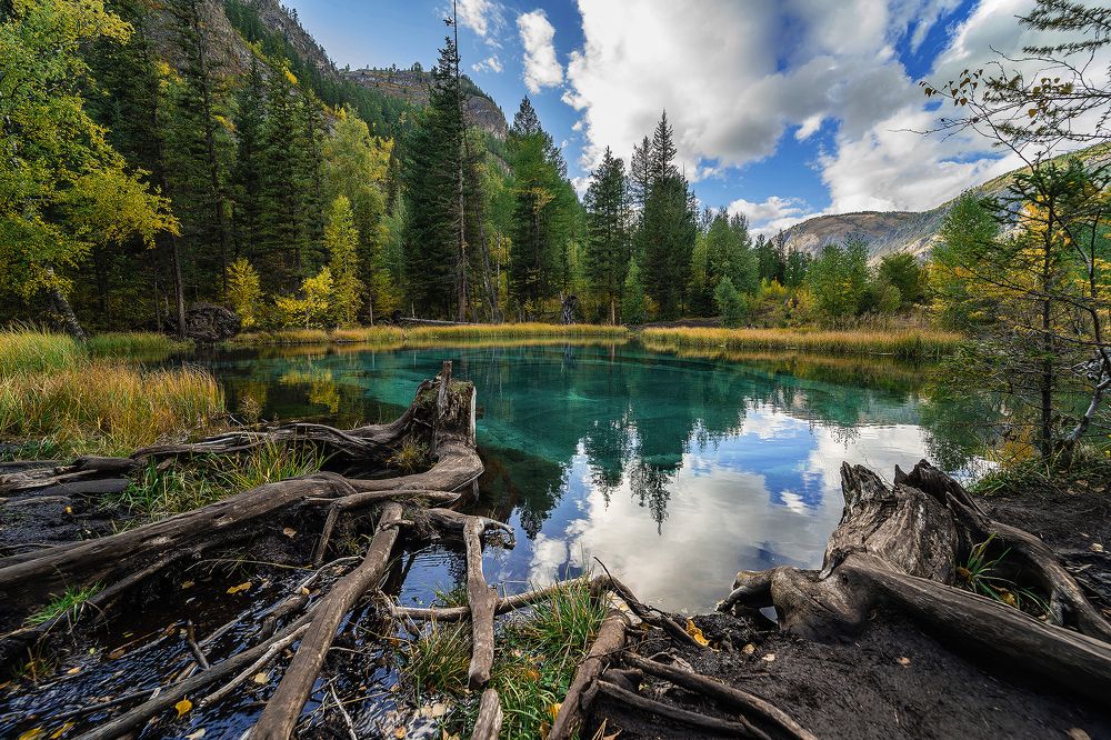 Photograph by Константин Щербаков