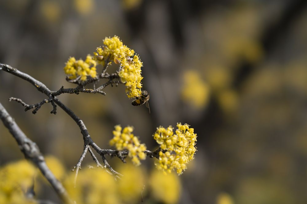 Photograph by Юрий Примак