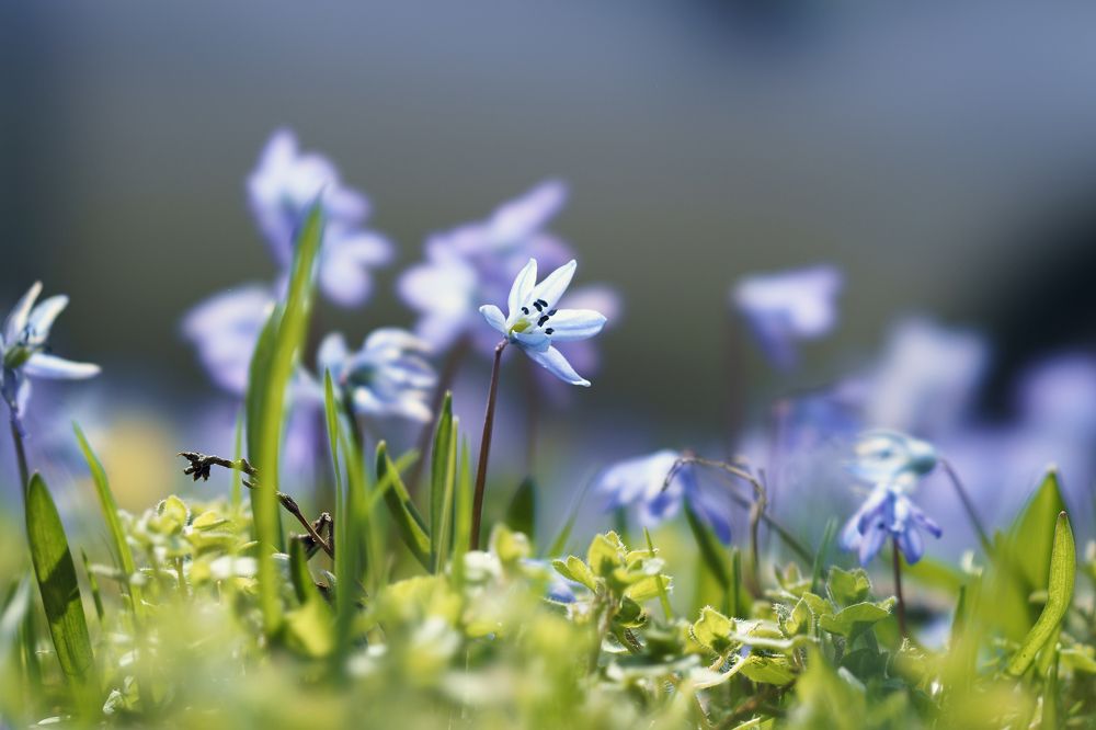 Photograph by Юрий Примак