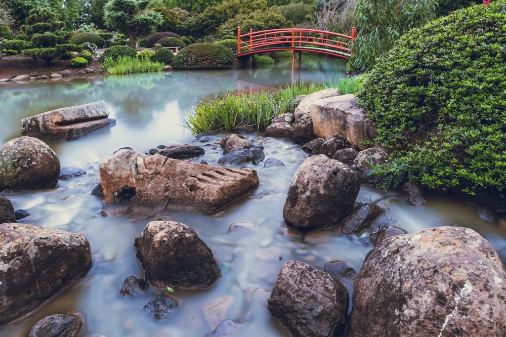 Photograph by Bijaya Lamichhane Jaisi