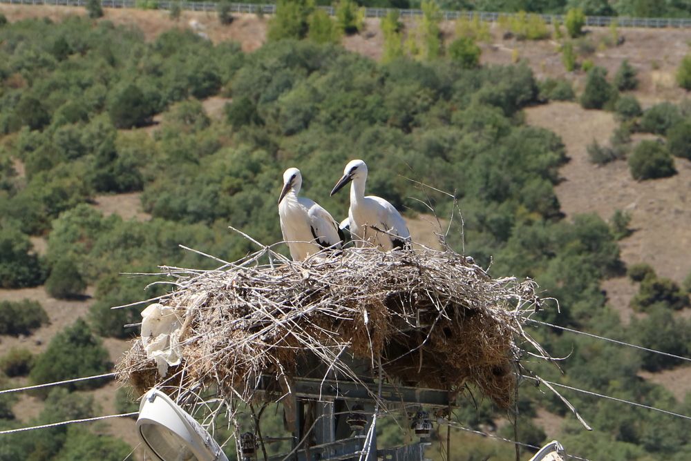 Photograph by Cengiz Yalcin