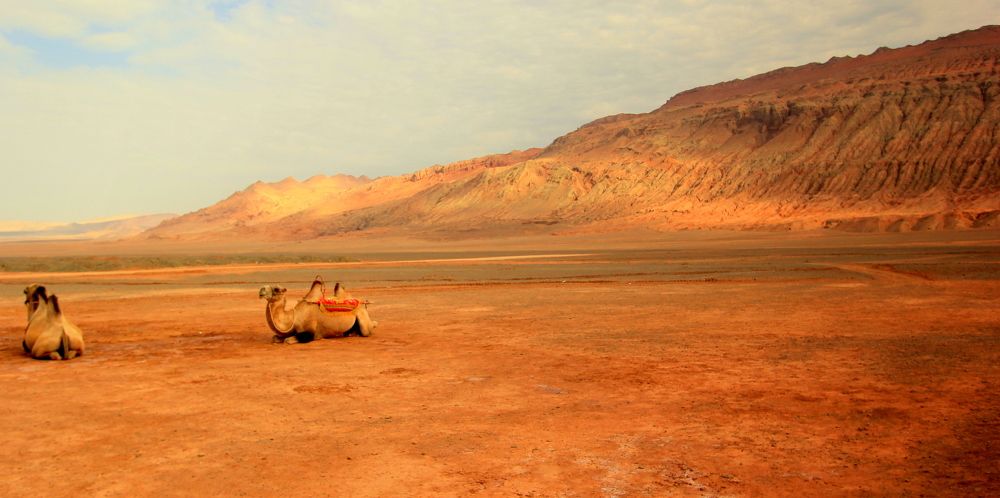 Photograph by Евгений Сизов