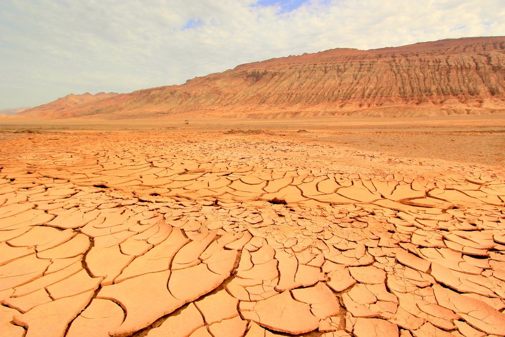 Photograph by Евгений Сизов