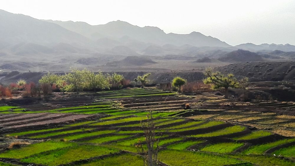 Photograph by Mozhgan Fotouhi