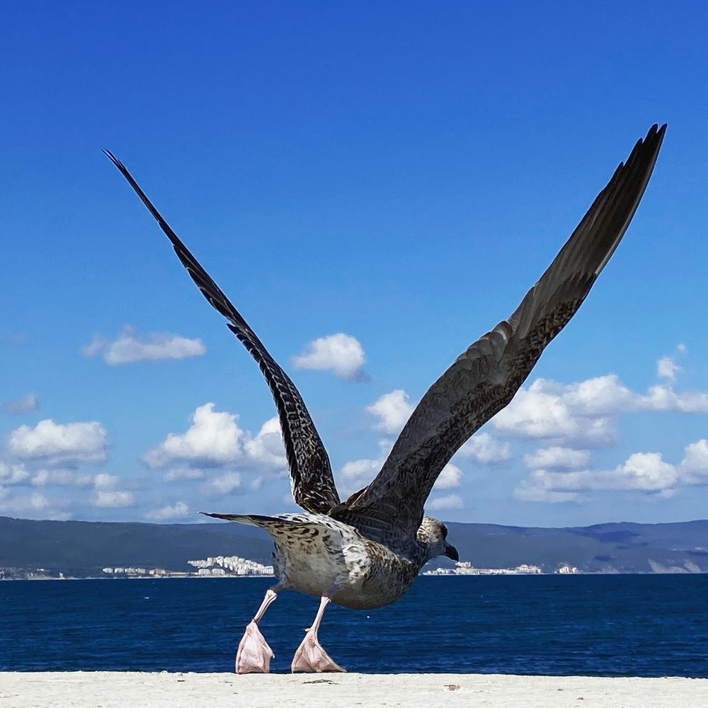 Photograph by Daniel Nicolae