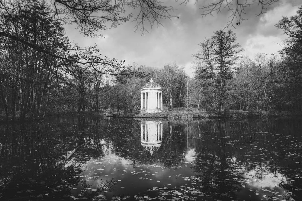 Photograph by Roman Adler