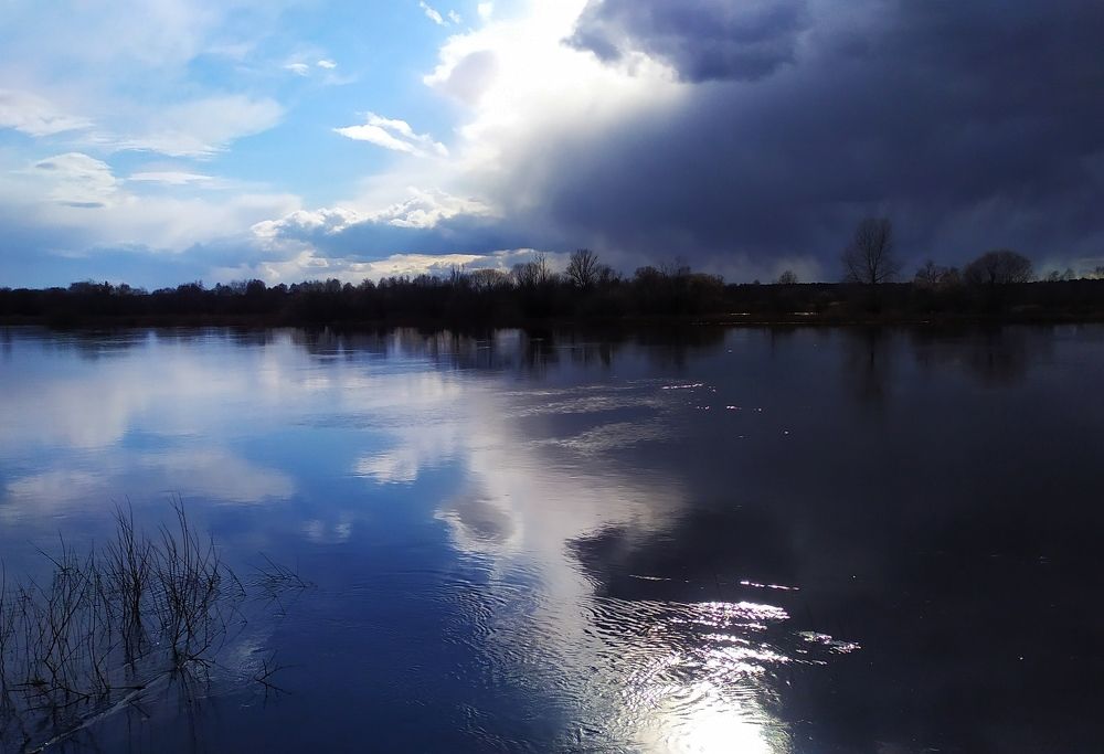 Река Сож. Весна. Беларусь.