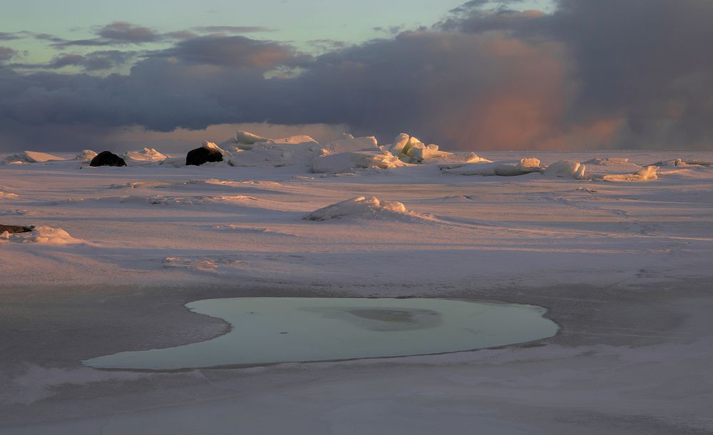 Весенняя клякса