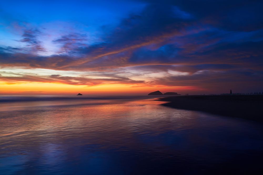 Фотография автора Mino Swayne