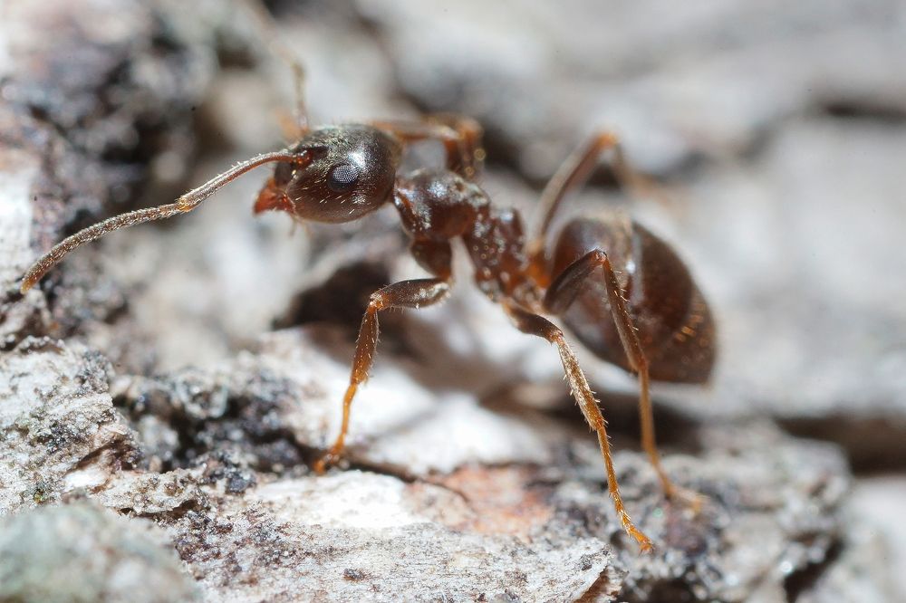 Photograph by Владимир Корчемкин