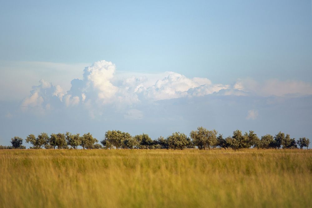Photograph by Владимир Грицик