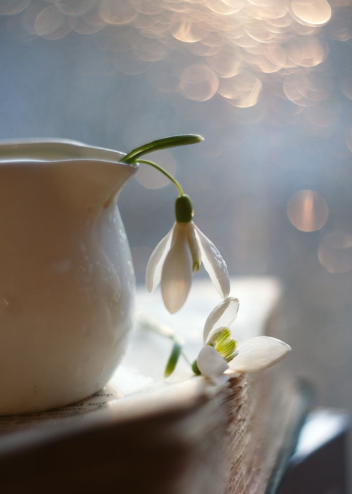 прикосновение