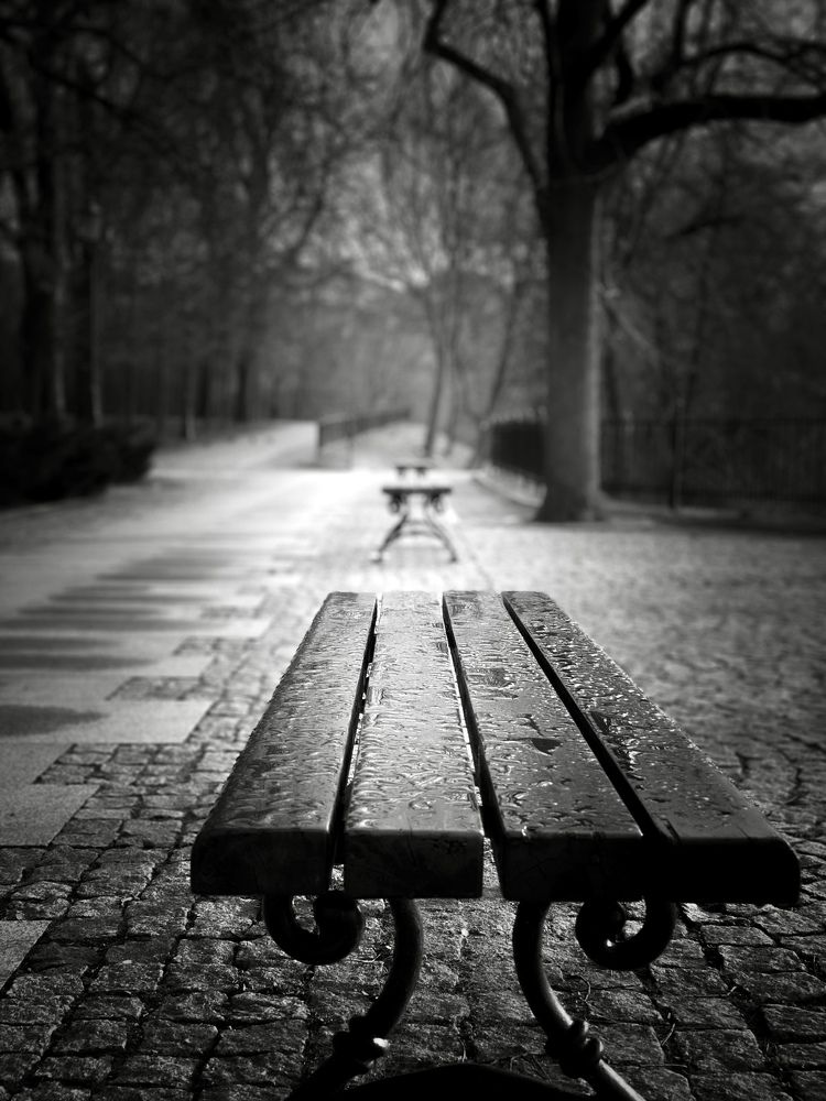 Photograph by Malgorzata Lemiec