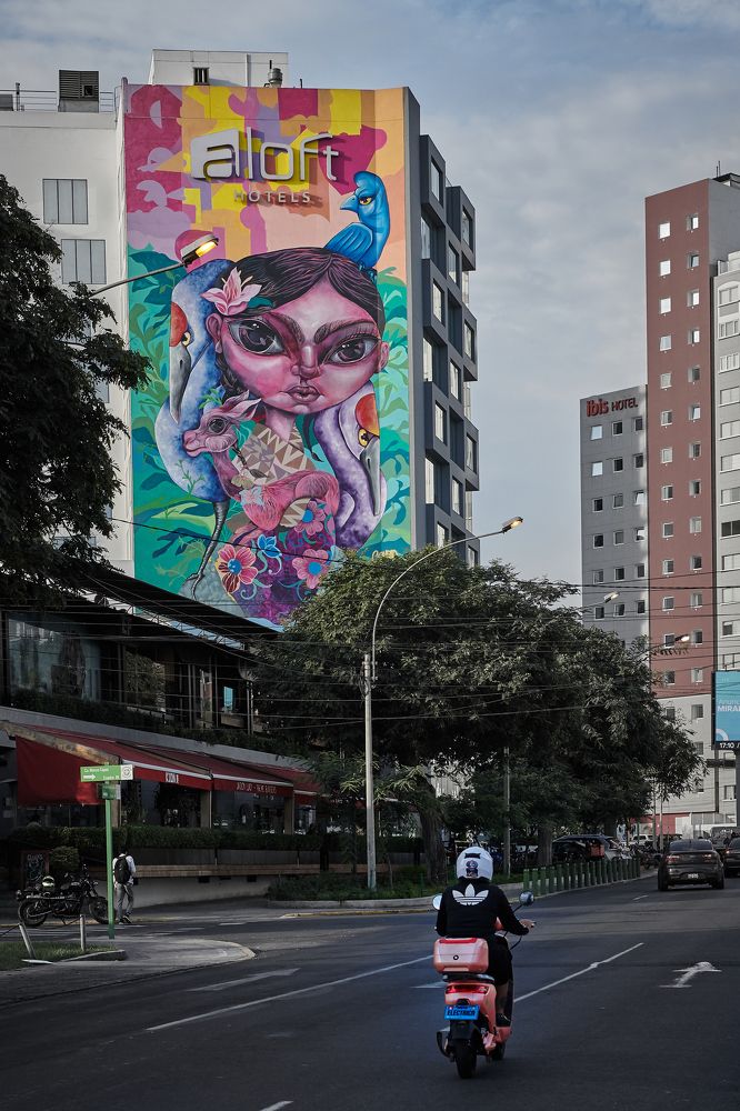 Фотография автора Mino Swayne