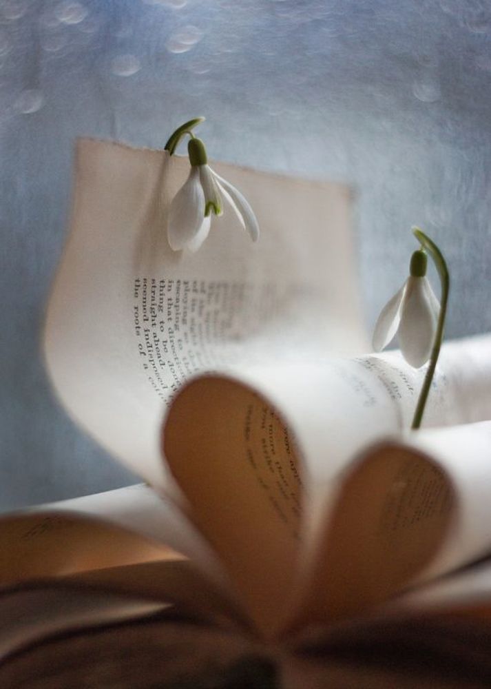 Азбука любви