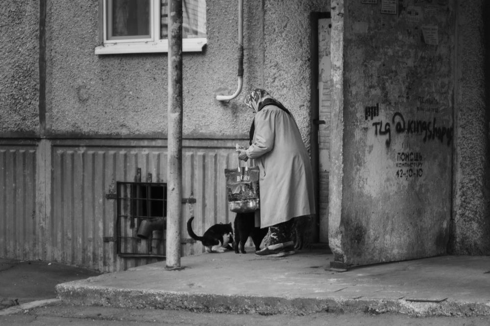 Photograph by Анастасия Власова