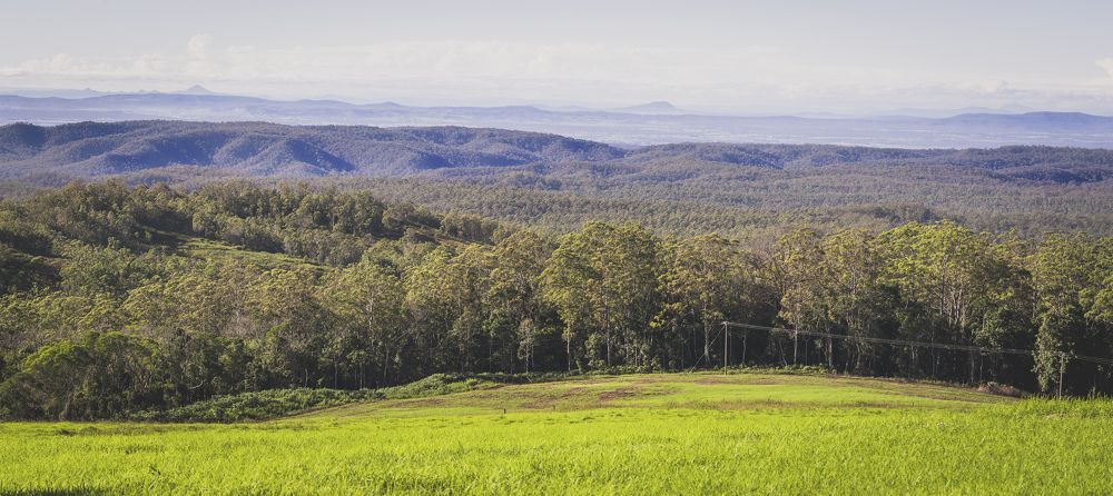 Photograph by Bijaya Lamichhane Jaisi