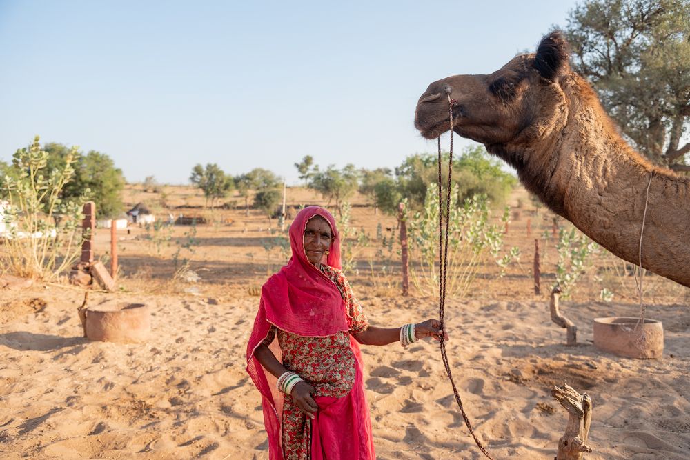 Rural life in Jodhpur