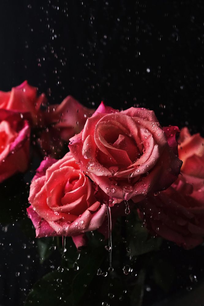 Photograph by Анна Попова