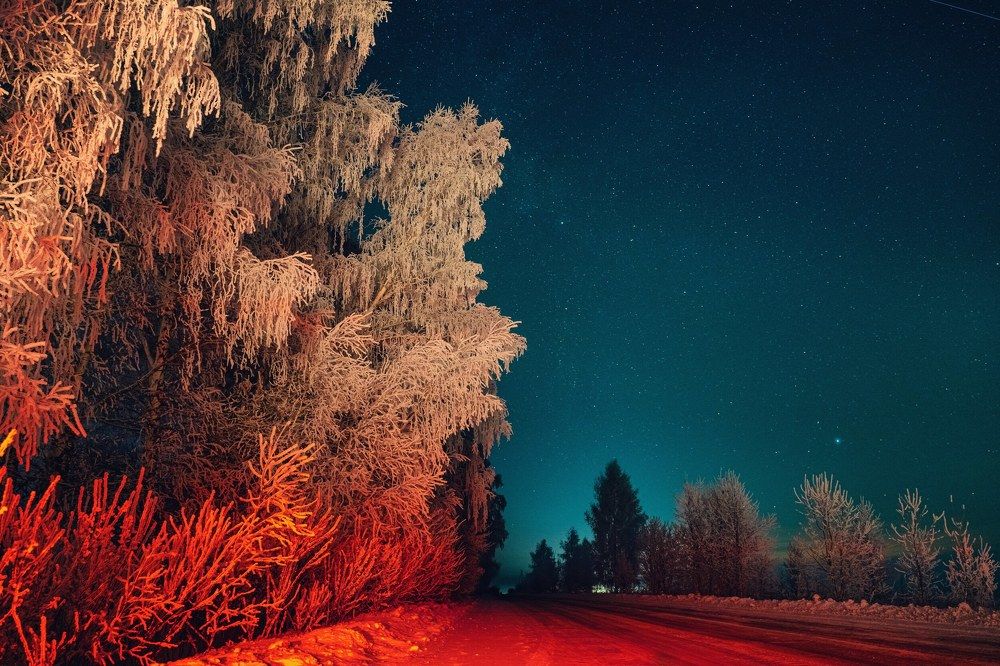 Photograph by Владимир Коновалов