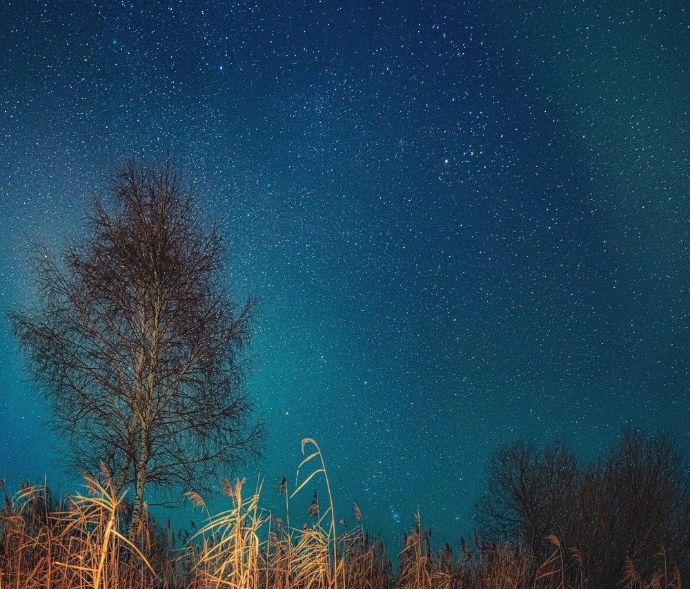 Photograph by Владимир Коновалов