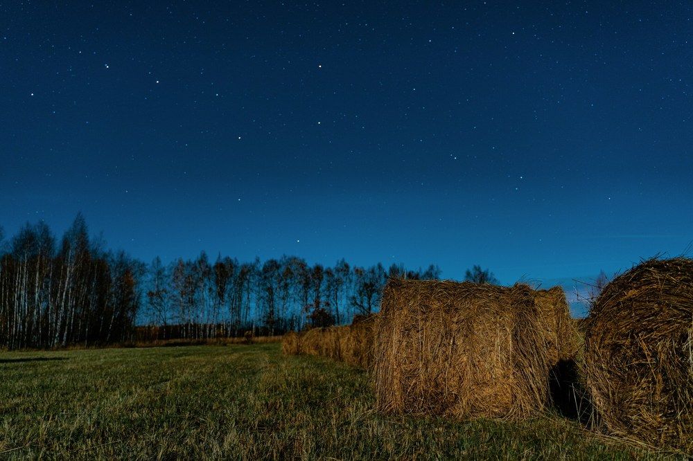 Photograph by Владимир Коновалов