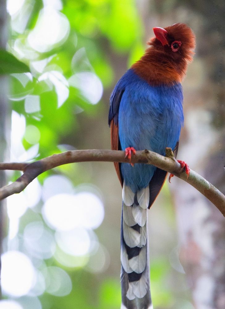 Photograph by Navodya Jayasinhe Arachchige Hashan