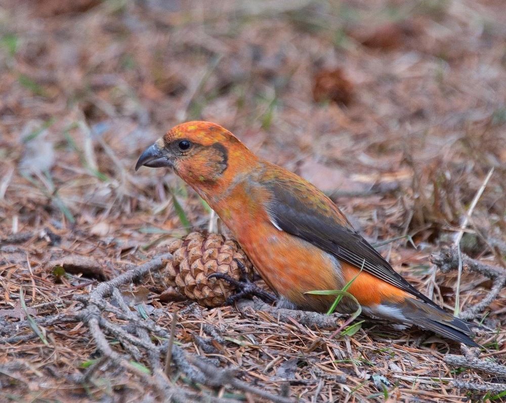 Photograph by Анастасия Мирошникова