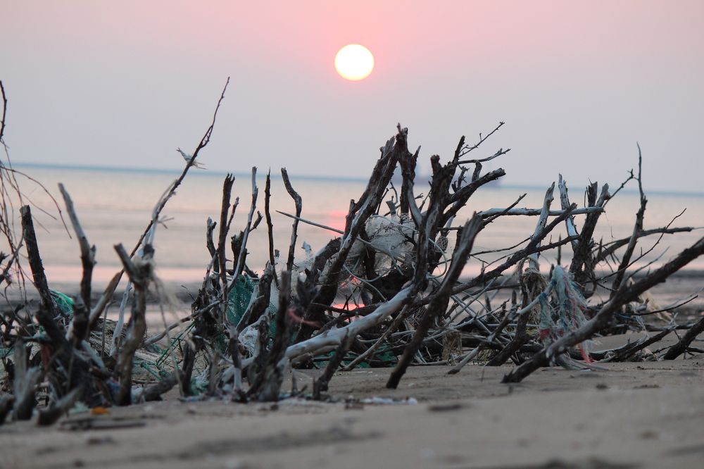 Photograph by Nguyễn Đức Toàn
