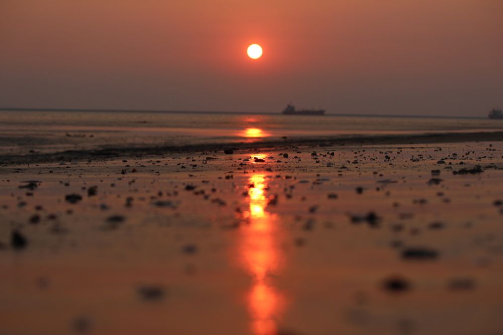 Photograph by Nguyễn Đức Toàn