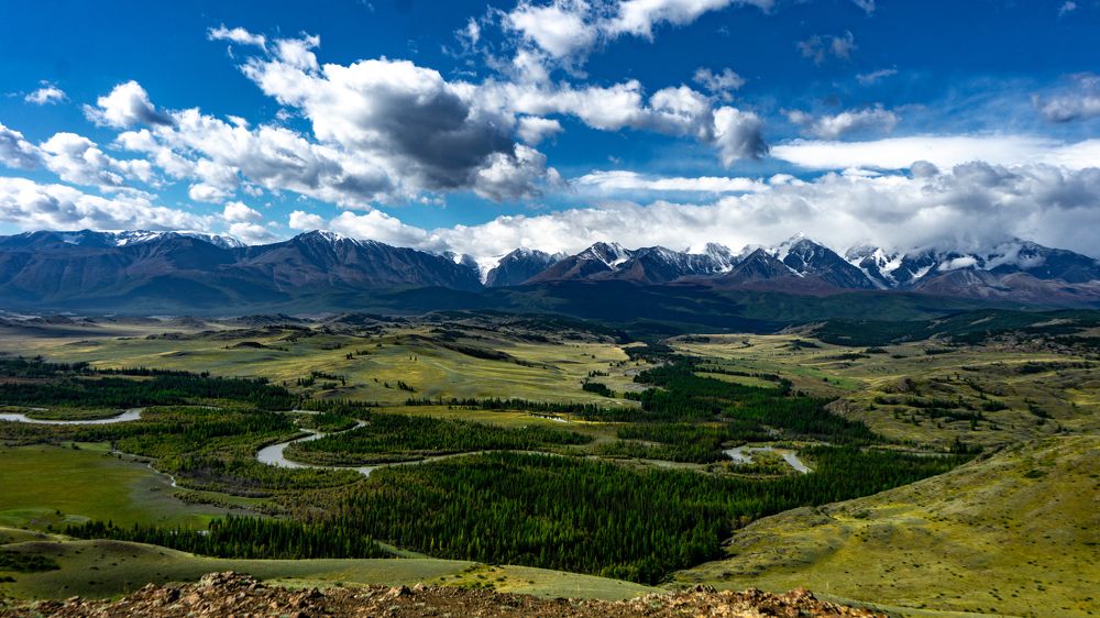 Фотография автора Елена Сова