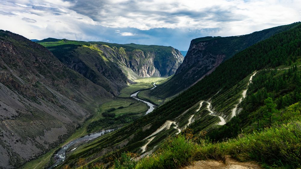 Фотография автора Елена Сова