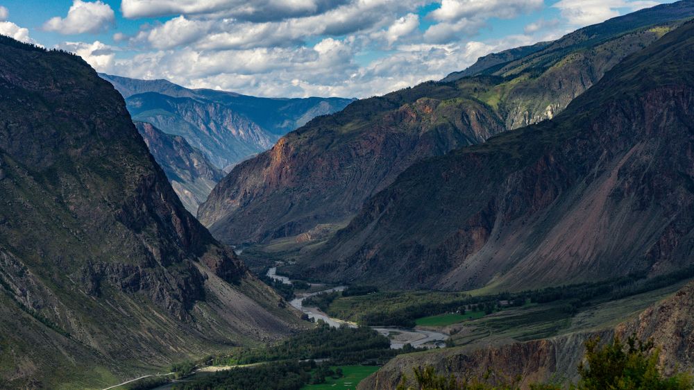 Фотография автора Елена Сова