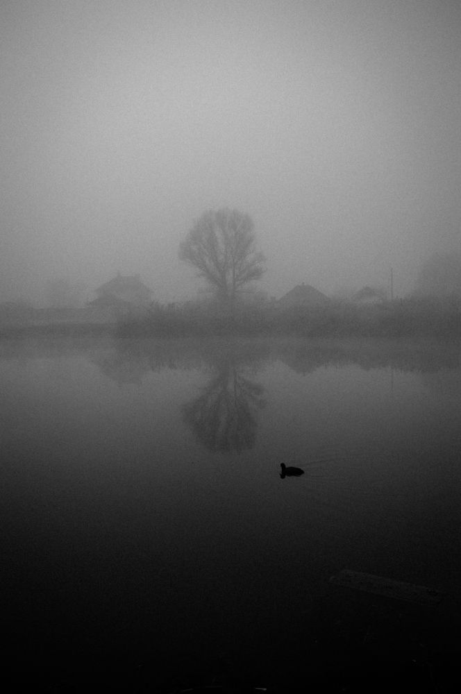 Photograph by Елизавета Хоменко